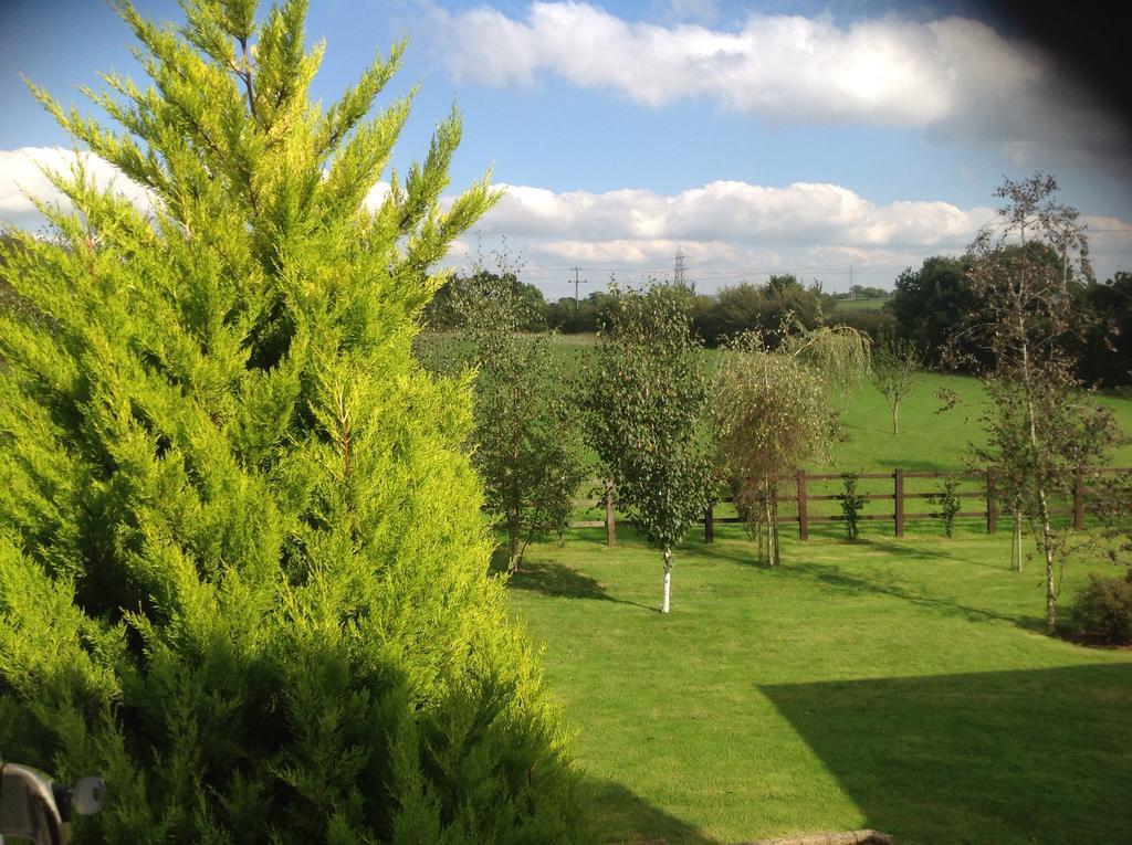 Crannaford Cottage Broadclyst 外观 照片